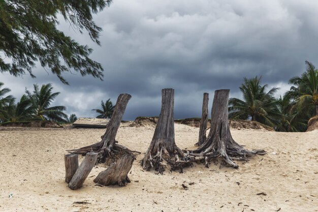 Dunkler bewölkter himmel während des stürmischen wetters am kailua-strand auf oahu-insel, hawaii