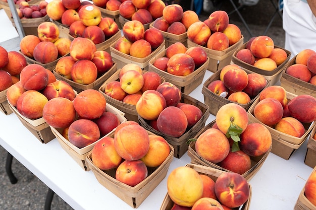 Duraznos amarillos frescos en cajas de cartón en Farmers Market