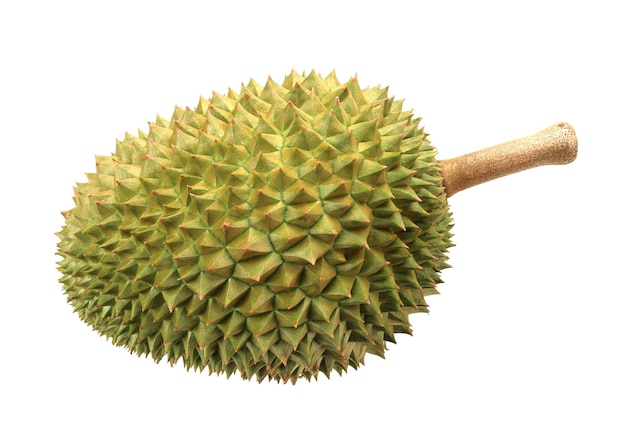 Durian aislado en fondo blanco