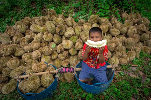 Durian Bauern führen aus dem Durian Garten