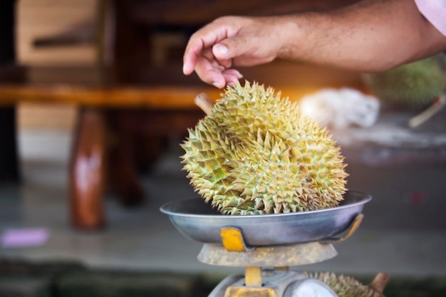 Durian se coloca en las escalas