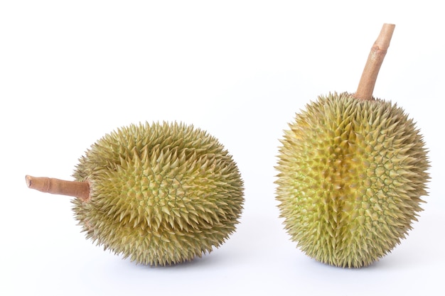 Durian como um rei das frutas na Tailândia. Possui odor forte e casca coberta de espinhos.