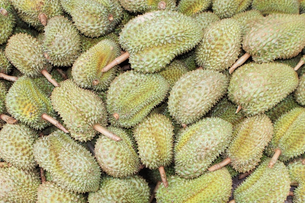 Durian, deliciosa fruta famosa na Tailândia