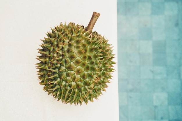 Durian doce e cremoso no jardim em fundo branco