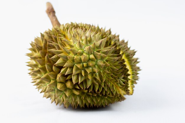 Durian é uma fruta que tem sido referida como o rei das frutas do Sudeste Asiático. Durian na superfície branca.