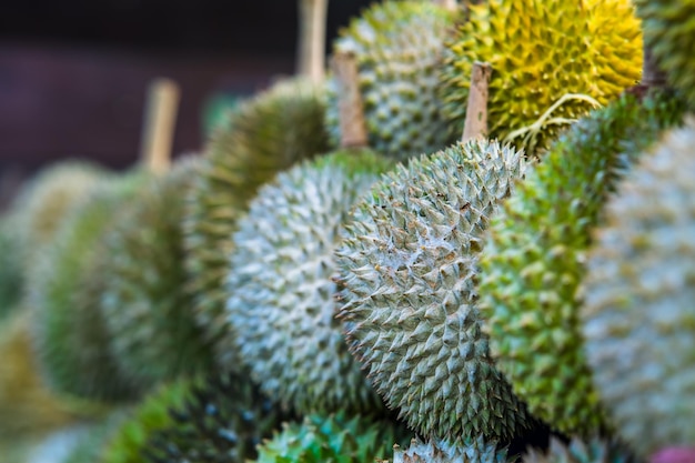 Durian em close-up em uma barraca de frutas na Malásia