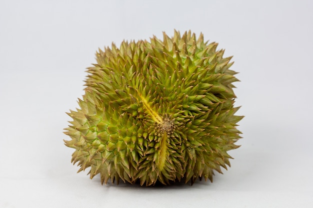 El durián es una fruta a la que se ha referido como el rey de las frutas del sudeste asiático. Durian sobre superficie blanca.