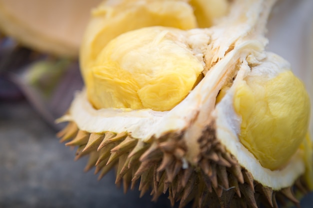 Durian Frucht.