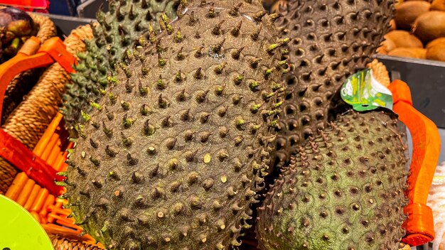 durian fruta vegetal fresco saludable comida comida merienda dieta en la mesa espacio de copia fondo de alimentos