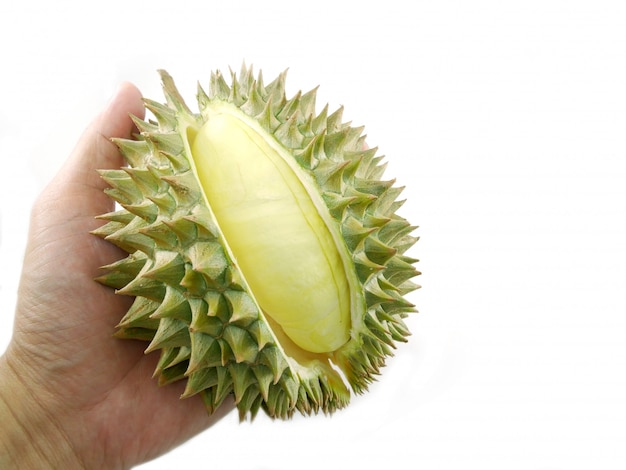 Durian getrennt auf weißem Hintergrund