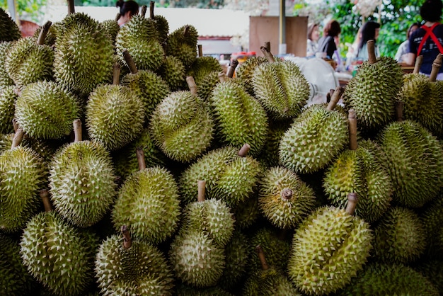 Durian im Angebot