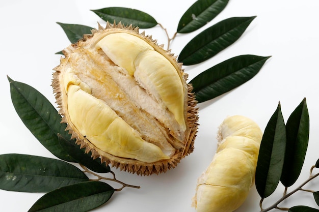 Durian Monthong King of Fruit aus Thailand auf weißem Hintergrund mit Blatt dekoriert