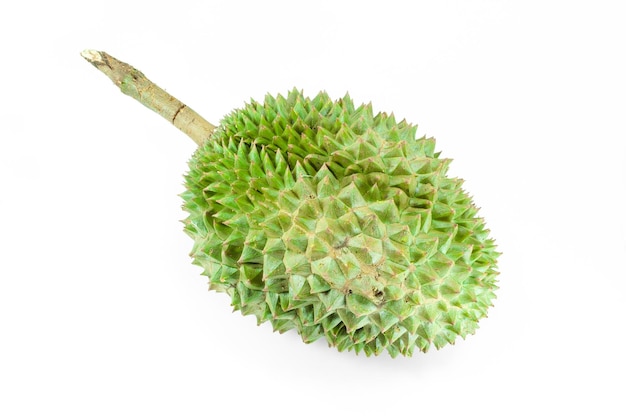 Durian o rei das frutas no fundo branco durian é uma fruta fedorenta