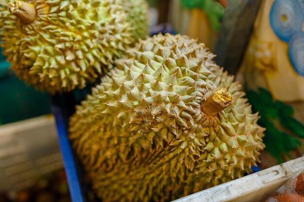 Durian rey de la fruta Grupo de durianes frescos en el mercado de durianLa textura de Durian