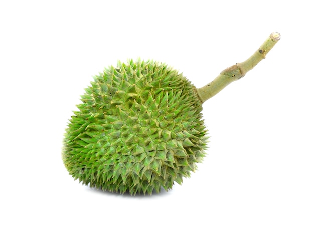 Durian Rey de la fruta Tailandia