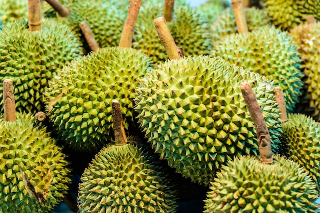 Durian Rey de la fruta