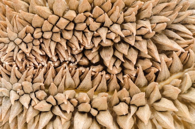 Durian Textur Hintergrund