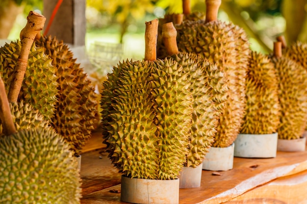 Durian tropico da fruta na tabela do mercado.