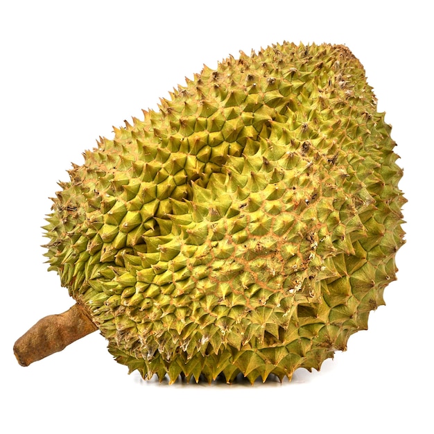 Durian