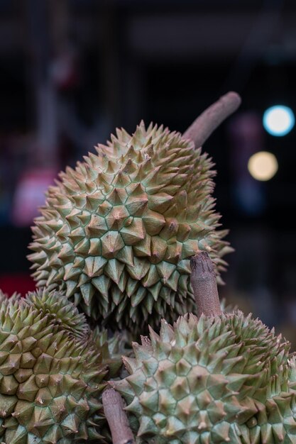 Durians frescos no mercado Tailândia