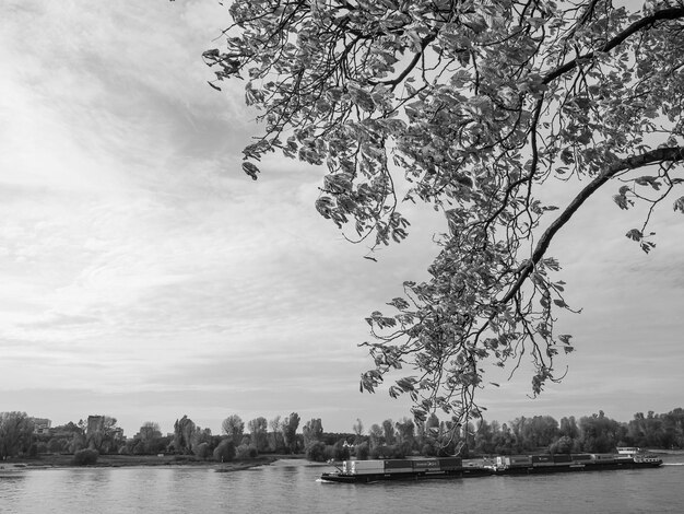 Dusseldorf y el río Rin