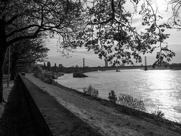 Dusseldorf y el río Rin