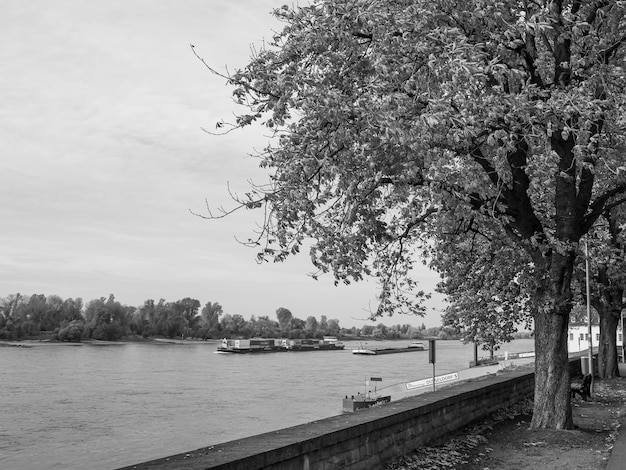 Dusseldorf y el río Rin