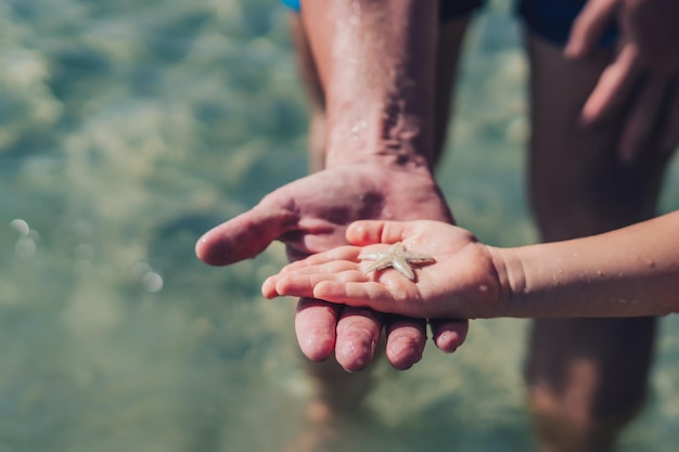 E Vater hält Sohn Hand Kind zeigt Seesterne liegen auf offener Handfläche Nahaufnahme nasse Tropfen Haut Daumen Finger Meerestourismus Sorge um Meeresfauna Natur Welt Schönheit Junge Neugier Zusammen retten Ozean