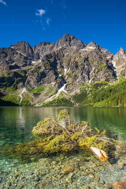 Eaye del lago del mar en las montañas polacas de Tatras