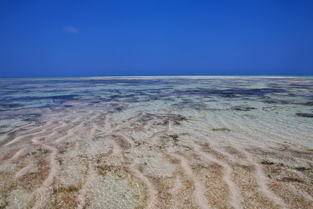 Ebbe auf Sansibar, der Indische Ozean