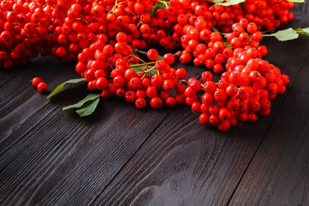 Ebereschenbeeren auf Holztisch