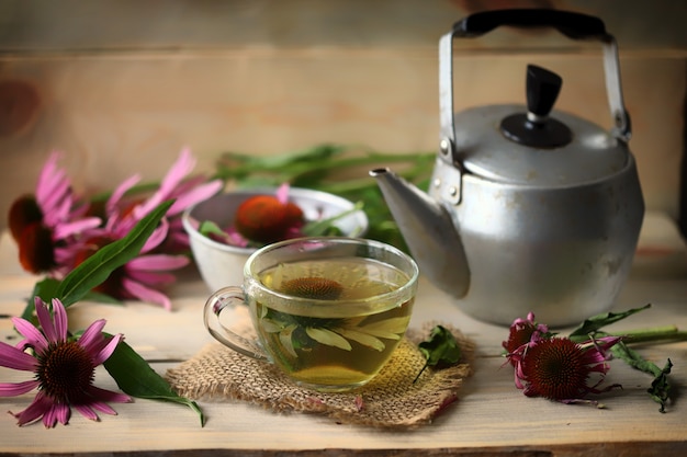 Echinacea flores bule xícara de chá