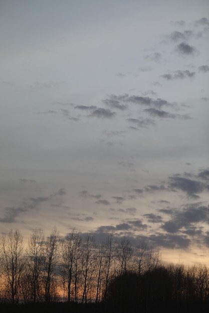 Echt erstaunlicher Panorama-Sonnenaufgang oder Sonnenuntergang Himmel mit bunten Wolken Farbverlauf Himmel Textur abstrakter Naturhintergrund