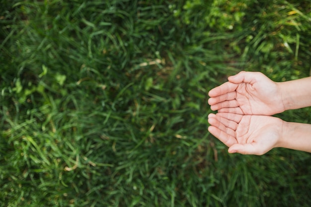 Eco-Konzept mit den Händen über Gras