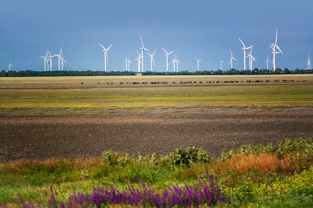 Eco power, aerogeneradores