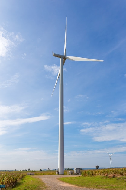 Eco-Power, Windkraftanlage auf dem Feld des grünen Grases und des Mais über dem blauen bewölkten Himmel