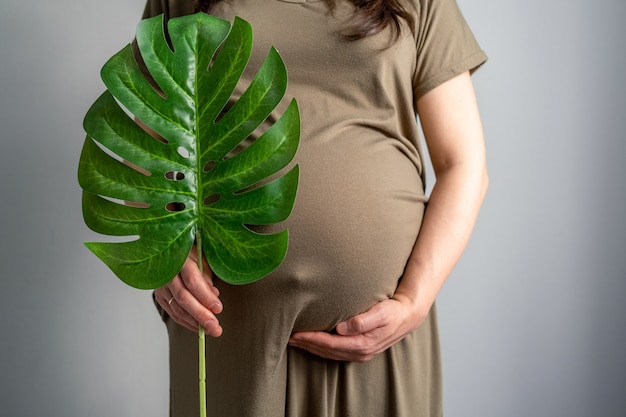 Eco Schwangerschaft Banner Copyspace schwangere Frau mit dickem Bauch fortgeschrittene Schwangerschaft hält grün