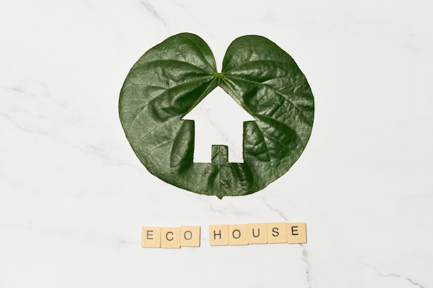 Ecohome Icon-Konzept für nachhaltiges und alternatives Leben