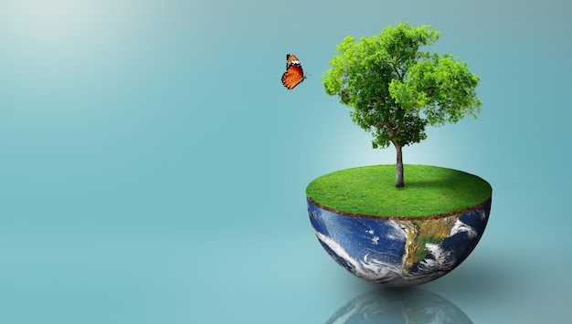 Ecología Mundial Día Mundial del Medio Ambiente Día Mundial de la Tierra y Salvando el Medio Ambiente