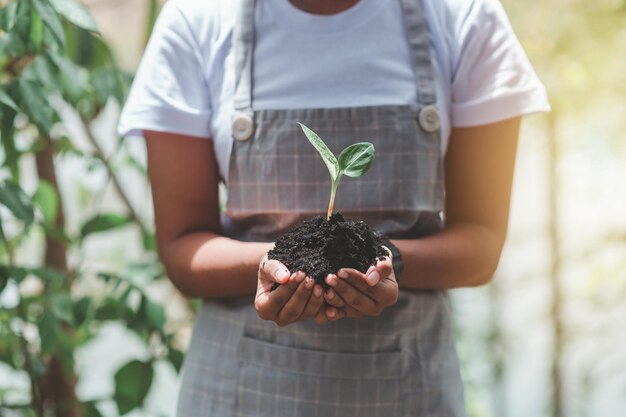 Ecologia proteção do ambiente natural conceito do dia da terra plantando plantas em mãos humanas sobre verde