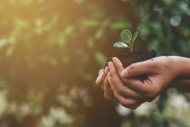 Ecologia proteção do ambiente natural conceito do dia da terra plantando plantas em mãos humanas sobre verde