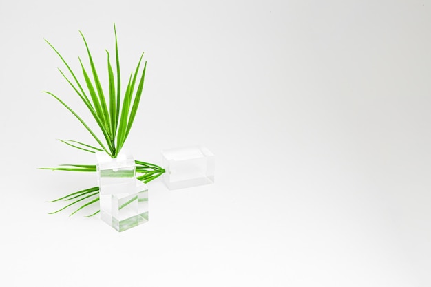 Foto la ecología protege la naturaleza de los cubos transparentes de plástico que cultivan hierba plástica en la copia de fondo blanco