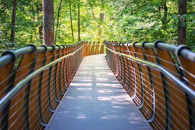 Ecopath im Wald VDNKh Moskau