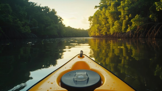 Ecoturismo aventura en kayak a través de bosques de manglares vida silvestre vibrante y flora con detalles impresionantes contra un fondo minimalista de agua y cielo