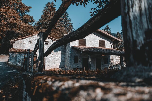 Foto edificio abandonado por árboles en el bosque contra el cielo