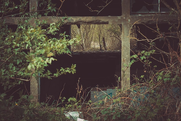 Foto edifício abandonado por árvores à noite