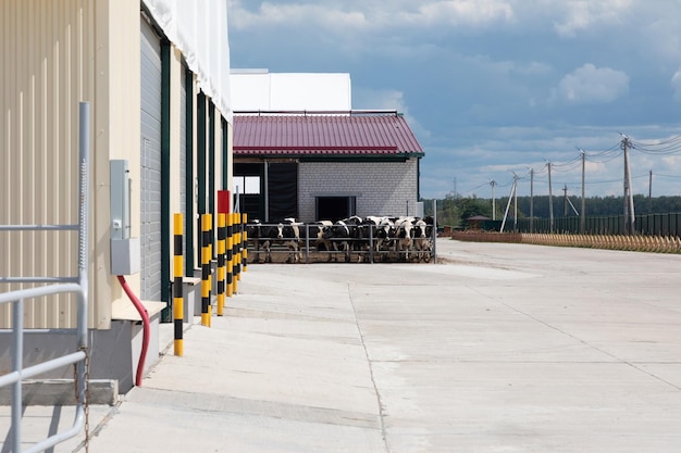 Edifício agrícola moderno com uma plataforma de concreto na frente