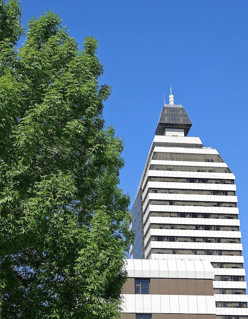 Un edificio alto con un árbol delante.