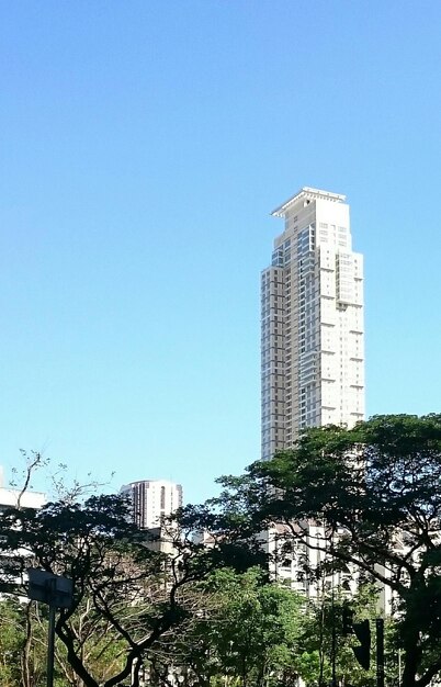 Foto edifício alto com árvores em primeiro plano