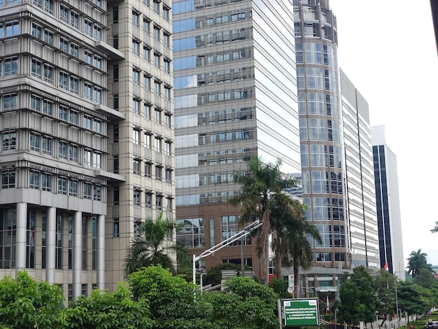 Un edificio alto con un letrero que dice "palmeras".